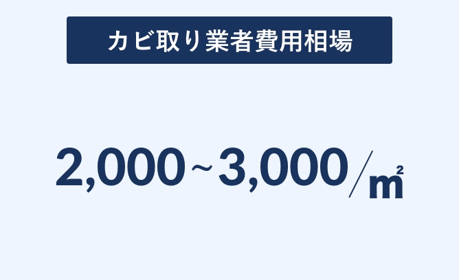 カビ取り費用相場 2,000円〜3,000円/㎡