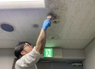 カビ取り・防カビ工程：特許技術を用いたカビ除去のイメージ