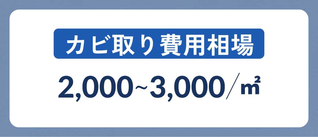 カビ取り費用相場 2,000円〜3,000円/㎡